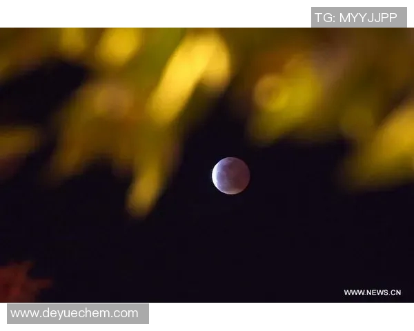 moon精彩比赛-月亮下的精彩比赛-moon精彩比赛